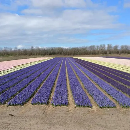 Tiny House Boatshed Bed & Breakfast 4*