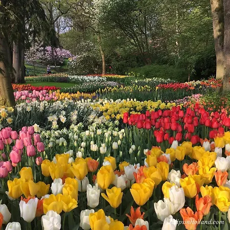 Bed & Breakfast Tiny House Boatshed
