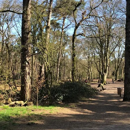 Tiny House Boatshed Heemstede