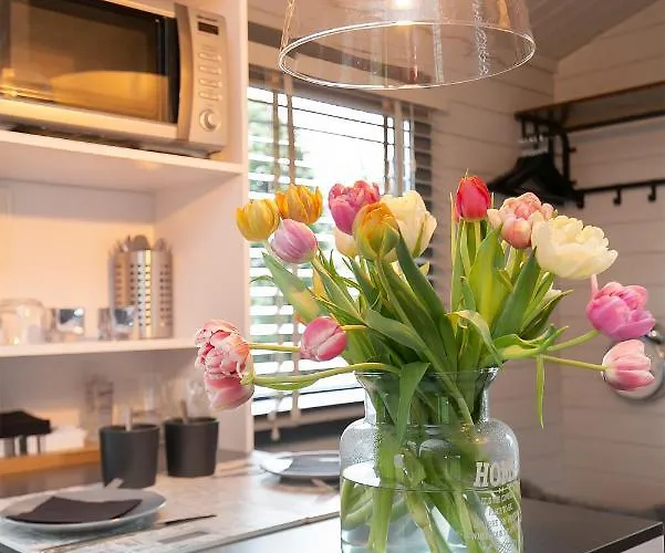 Tiny House Boatshed B&B 헴스테데