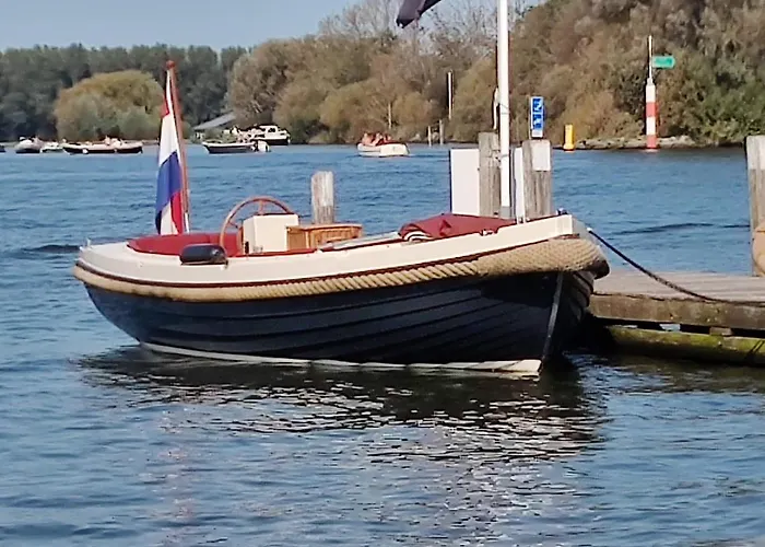 Tiny House Boatshed B&B