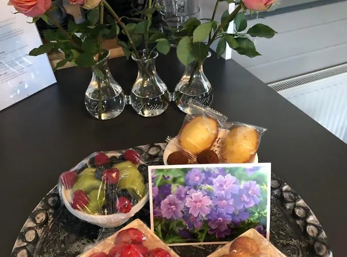 B&B Tiny House Boatshed