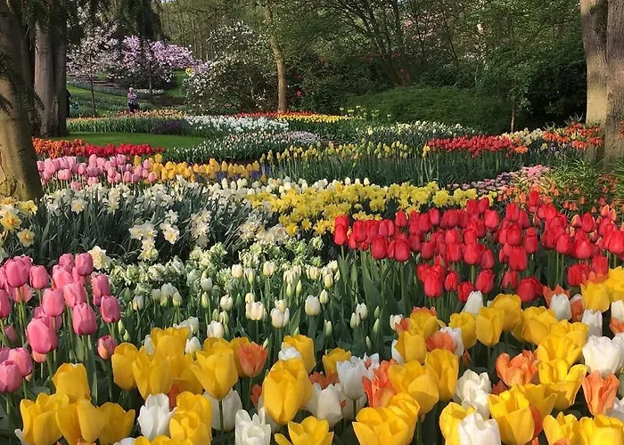 B&B Tiny House Boatshed