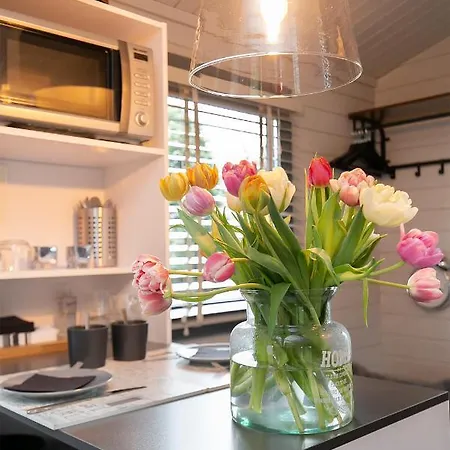 Tiny House Boatshed Bed and breakfast Heemstede