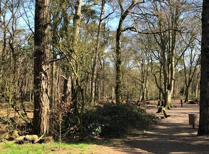Tiny House Boatshed היימסטיידה